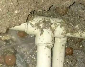 乌拉特前测漏水多少钱