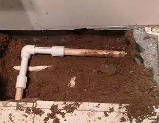 乌拉特前测漏水哪家好