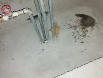 乌拉特前卫生间测漏水价格明细