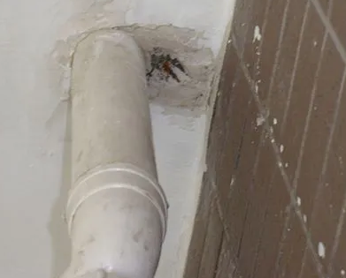 乌拉特前漏水检测哪家好